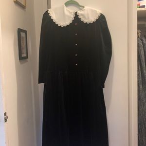 Pretty as a Picture vintage black velvet, button up dress with long sleeves.